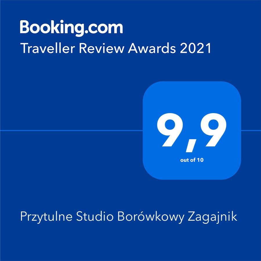 Przytulne Studio Borowkowy Zagajnik Piechowice  Eksteriør bilde